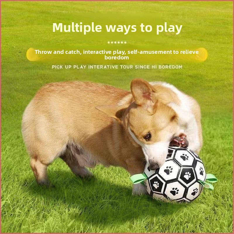 Interactive Pet Chew Ball