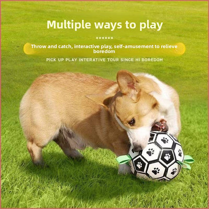 Interactive Pet Chew Ball