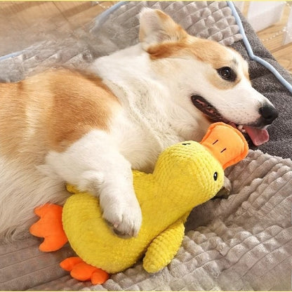 Pet Plush Sounding Toys