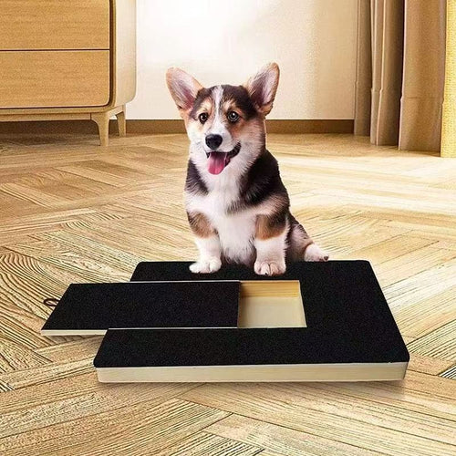 Wooden Dog Scratcher Toy
