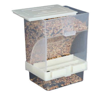 Bird Feeding Pet