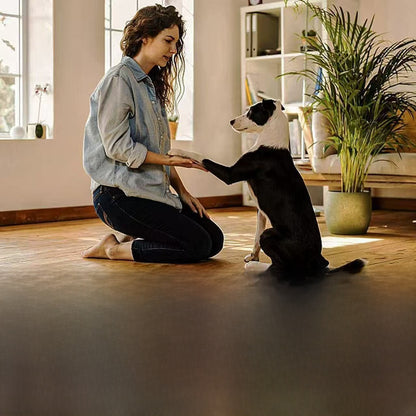 Wooden Dog Scratcher Toy