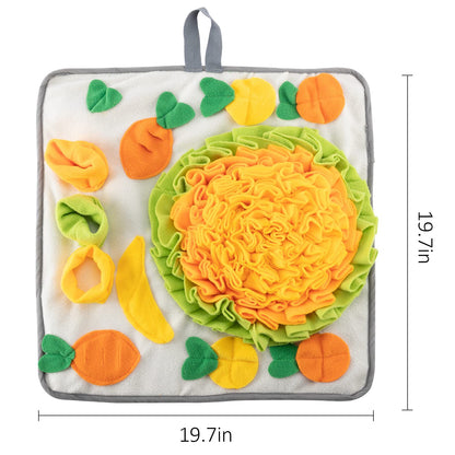 Rabbit Foraging Mat with Carrot Toys