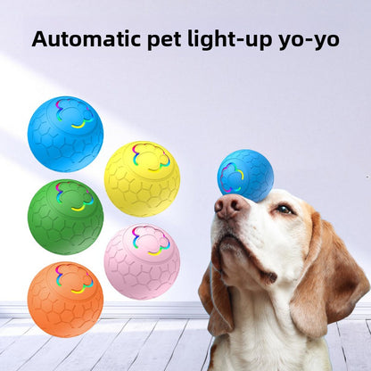 Rechargeable LED Pet Toy Ball