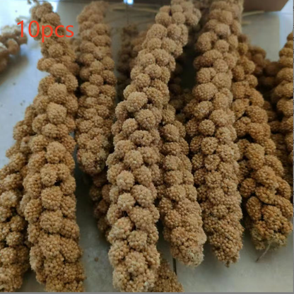 Natural Millet Bird Feed Stalks