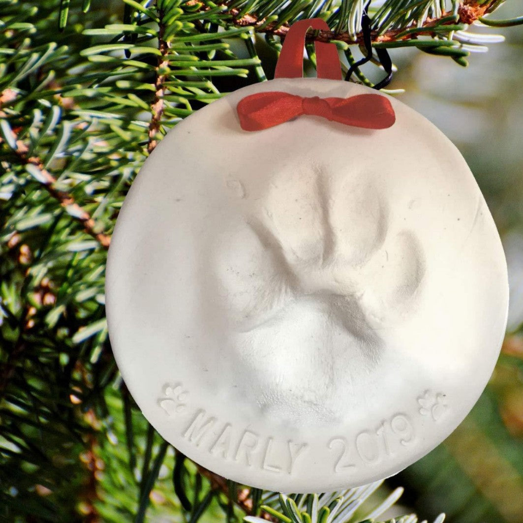Pet Paw Print Clay Keepsake Kit