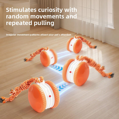Electric Interactive Pet Toy Bal