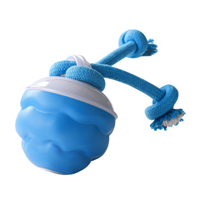 Interactive Electric Rolling Pet Ball