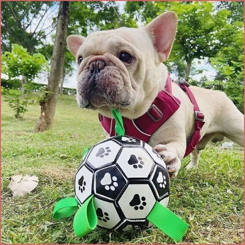 Interactive Pet Chew Ball