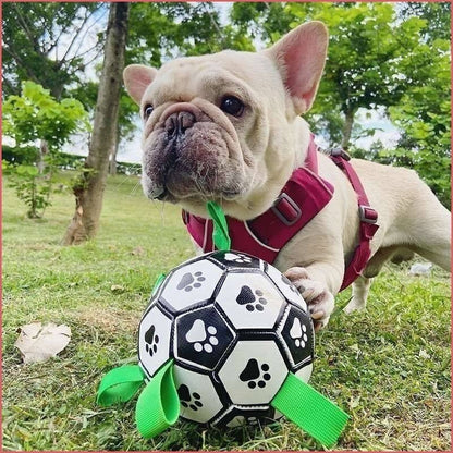 Interactive Pet Chew Ball
