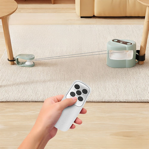 Electric pet toy