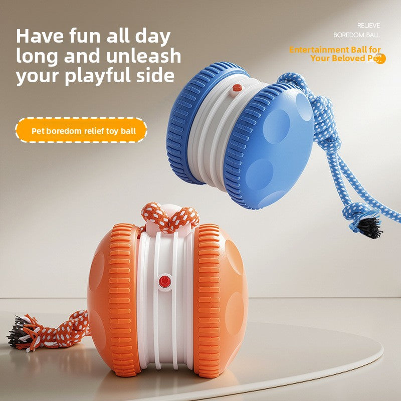 Electric Interactive Pet Toy Bal