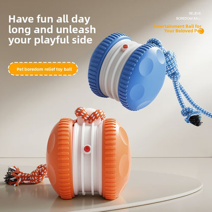 Electric Interactive Pet Toy Bal