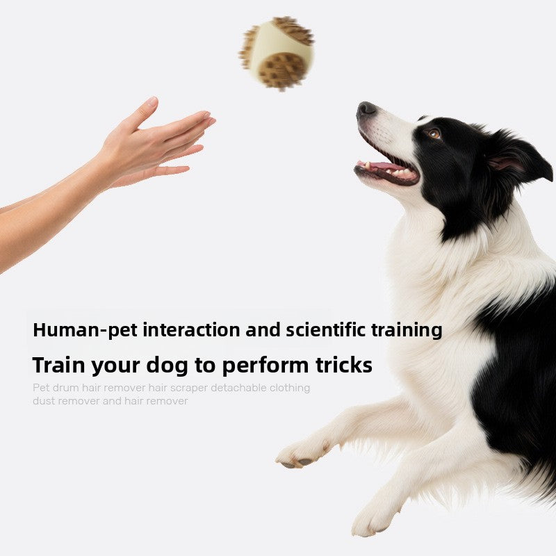 Interactive Pet Food Dispensing Ball Chew Toy