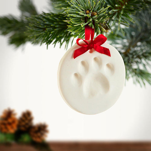 Pet Paw Print Clay Keepsake Kit