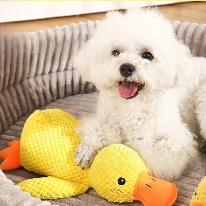 Pet Plush Sounding Toys