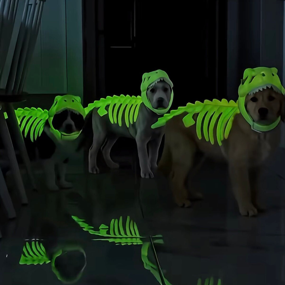 Dog Headgear Funny Decoration Dinosaur Skeleton Doll Hat Funny Skeleton Plush Toy Pet Headwear Accessories