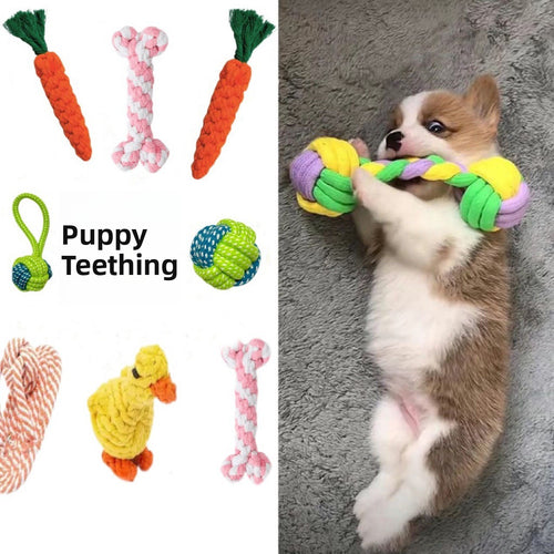 Durable Cotton Rope Chew Toy for Small Dogs