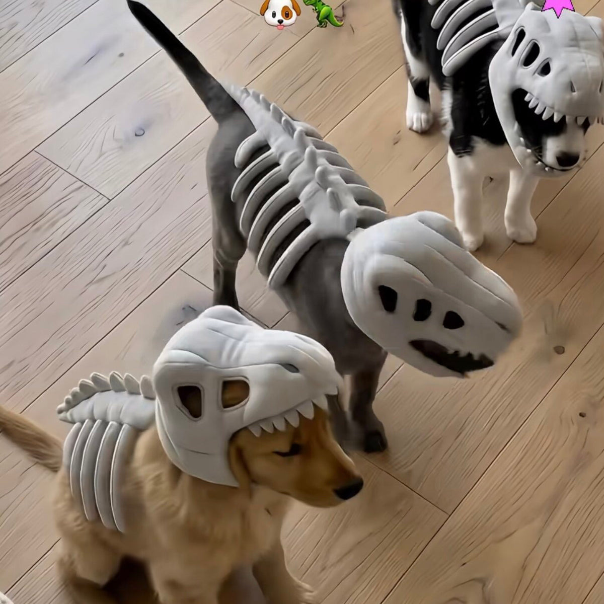 Dog Headgear Funny Decoration Dinosaur Skeleton Doll Hat Funny Skeleton Plush Toy Pet Headwear Accessories