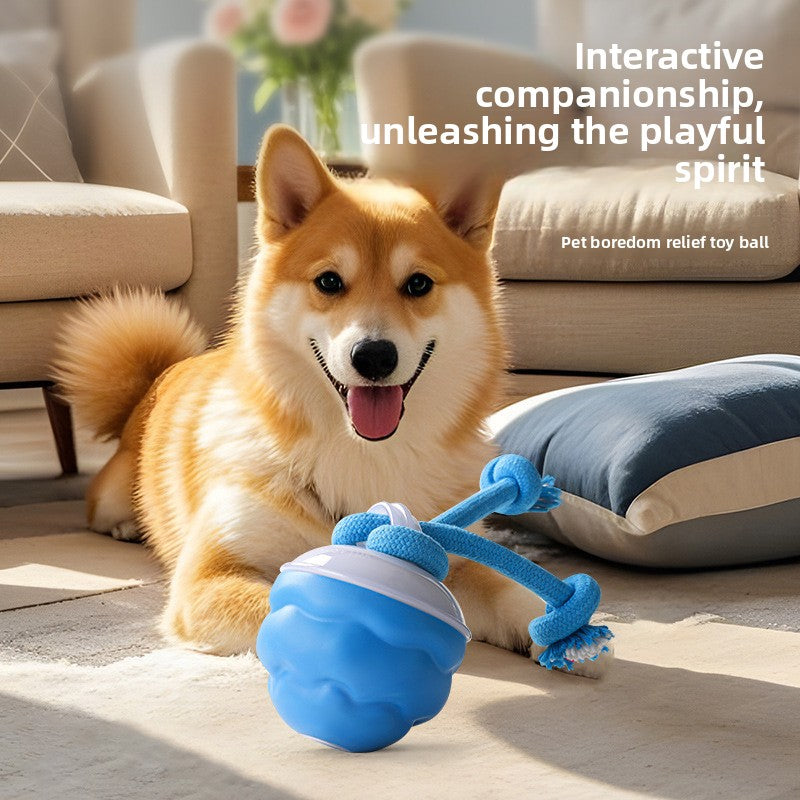 Interactive Electric Rolling Pet Ball