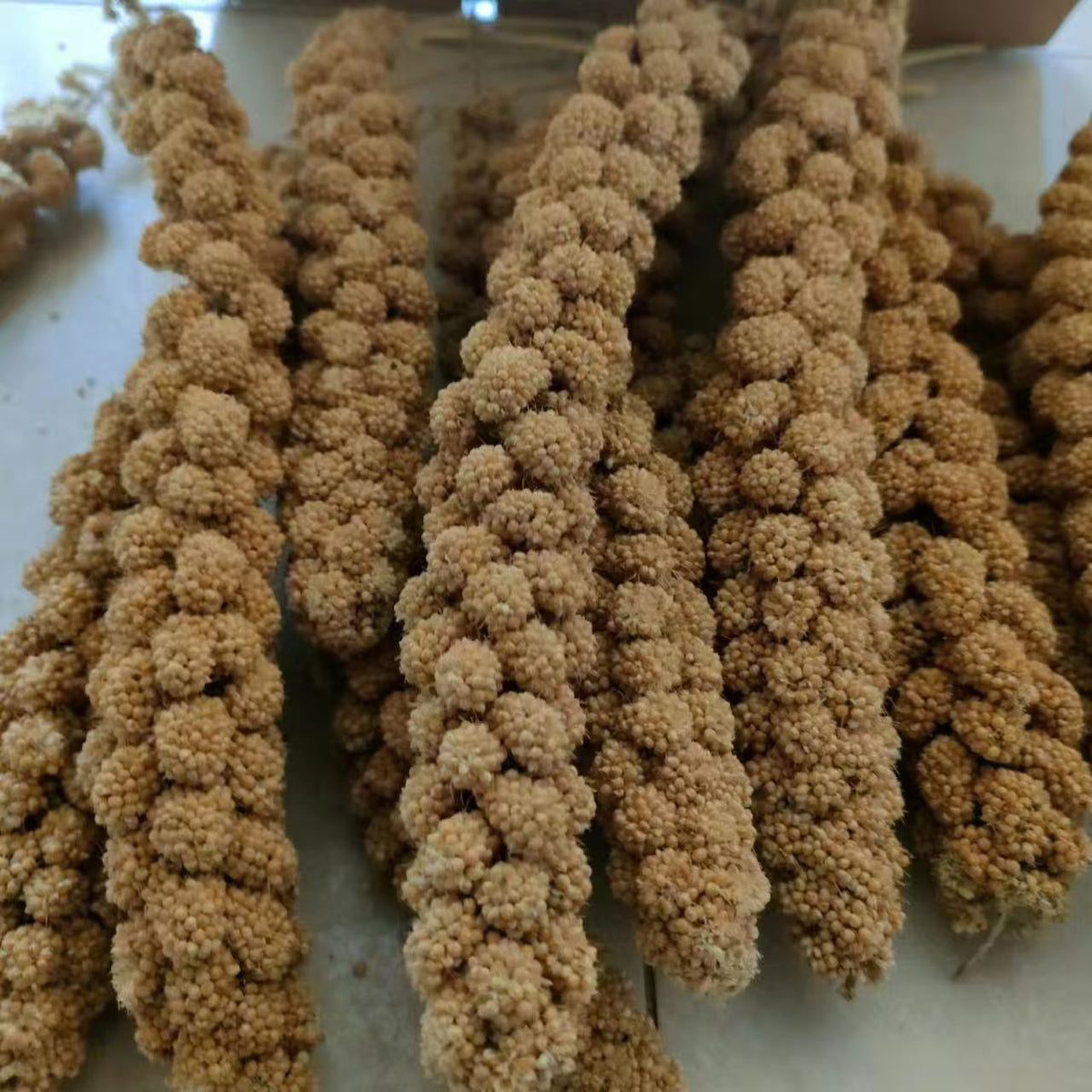 Natural Millet Bird Feed Stalks