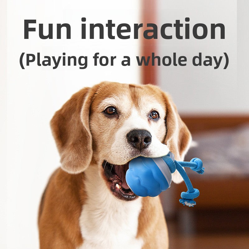 Interactive Electric Rolling Pet Ball