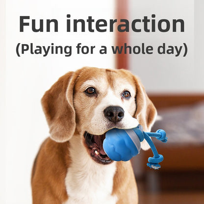 Interactive Electric Rolling Pet Ball