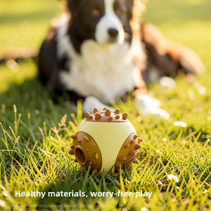 Interactive Pet Food Dispensing Ball Chew Toy