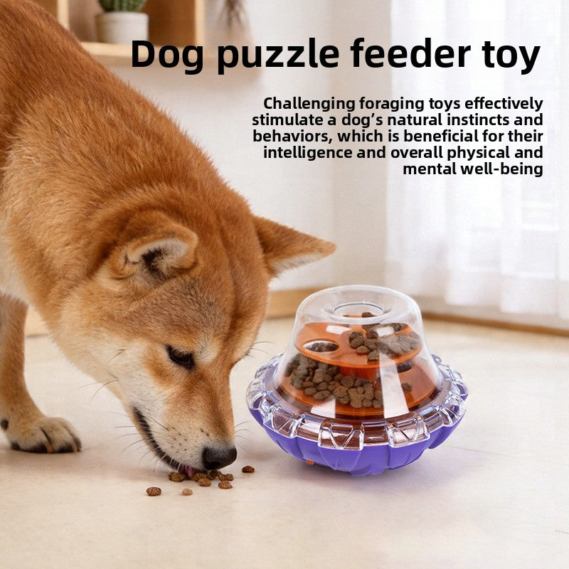 Interactive Pet Treat Dispensing Toy
