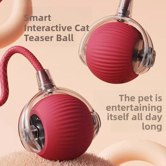 Electric pet toys