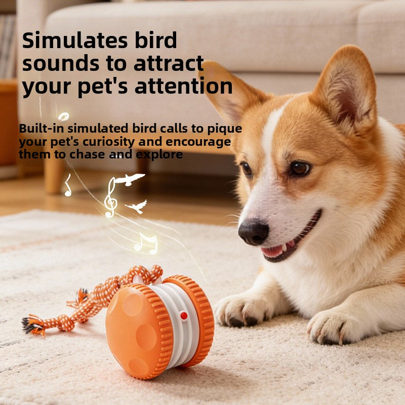 Electric Interactive Pet Toy Bal