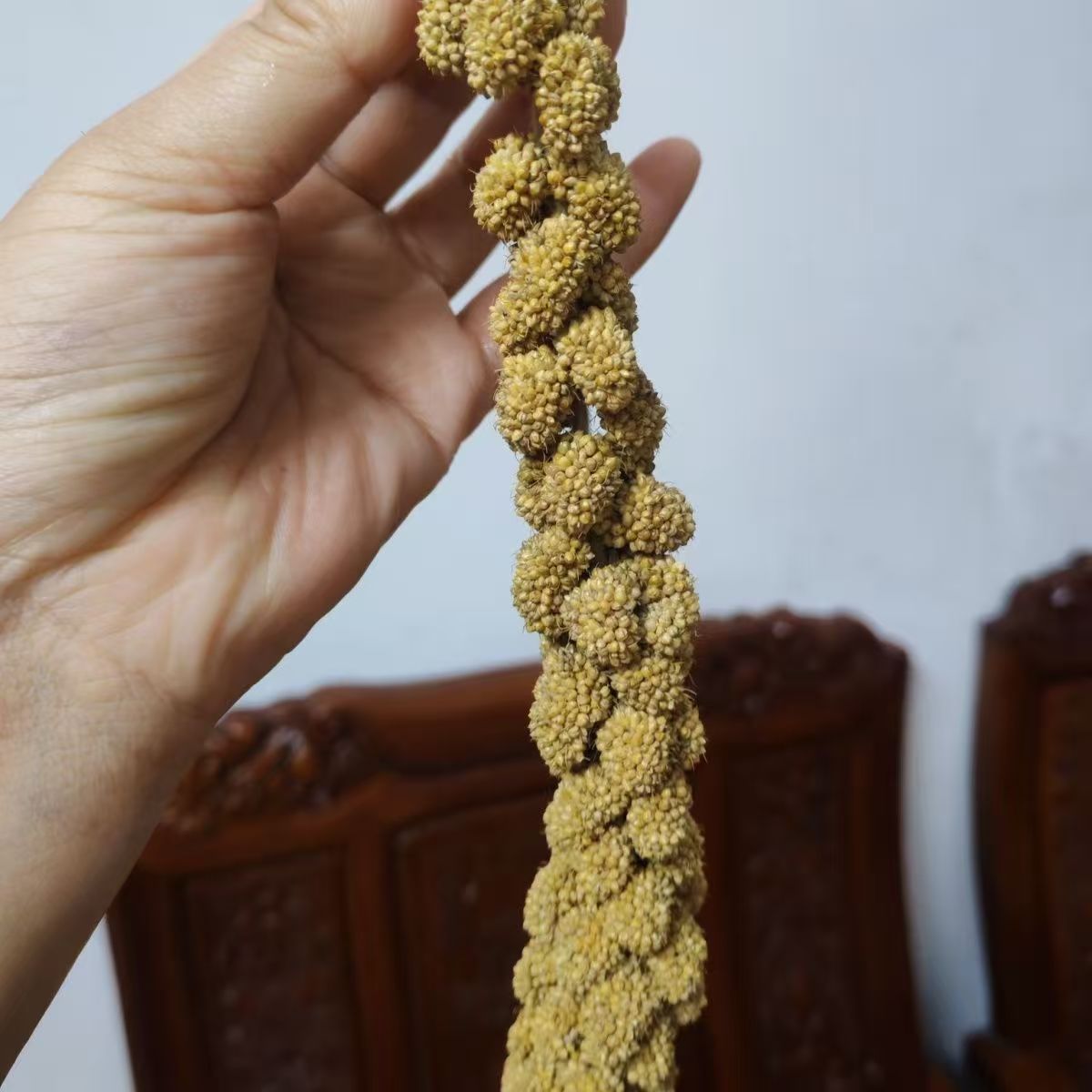 Natural Millet Bird Feed Stalks