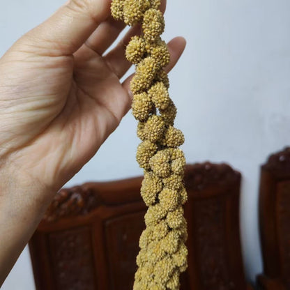 Natural Millet Bird Feed Stalks