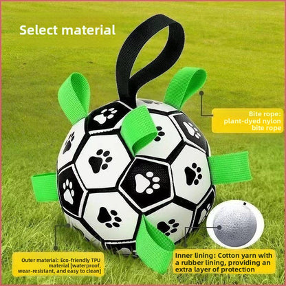 Interactive Pet Chew Ball