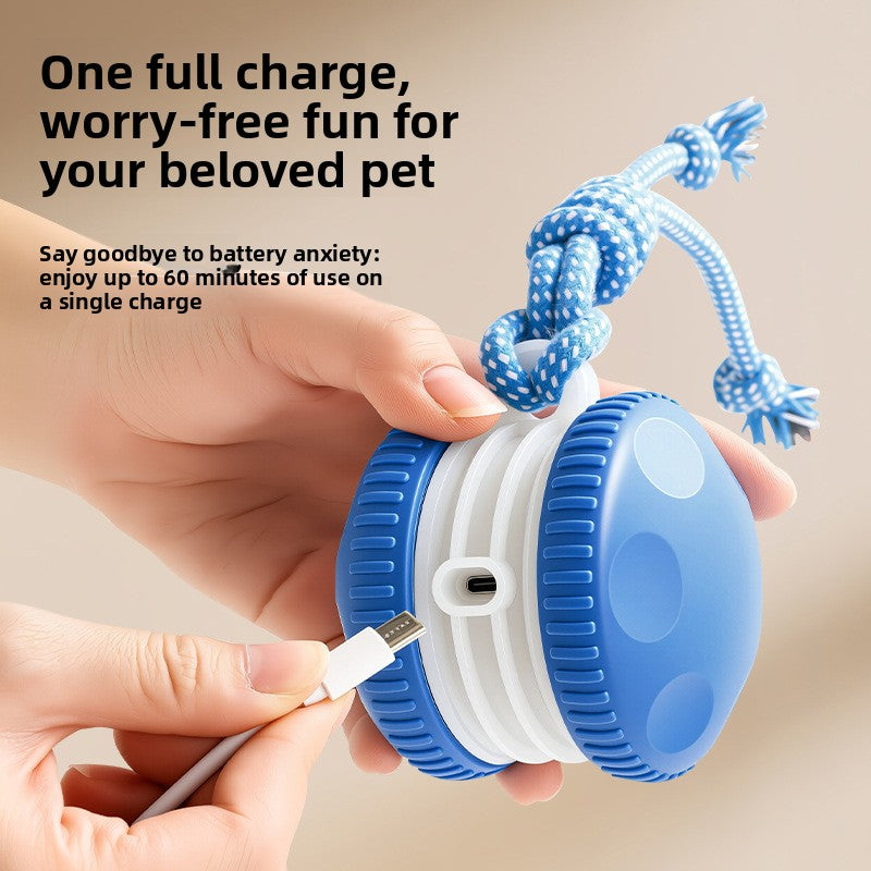 Electric Interactive Pet Toy Bal