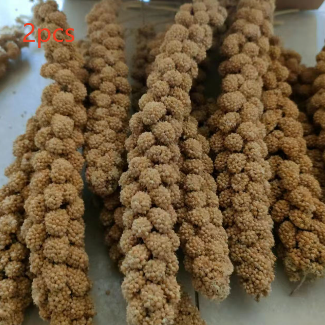 Natural Millet Bird Feed Stalks