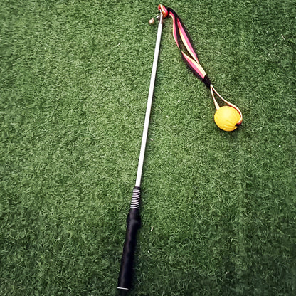 Dog Training Supplies Bite Dog Tease Stick Pull Toy Tease Rod
