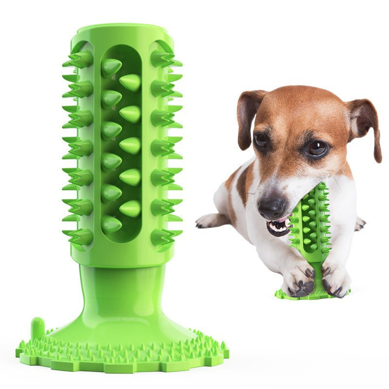 Squeaky Dog Chew Toy for Dental Health