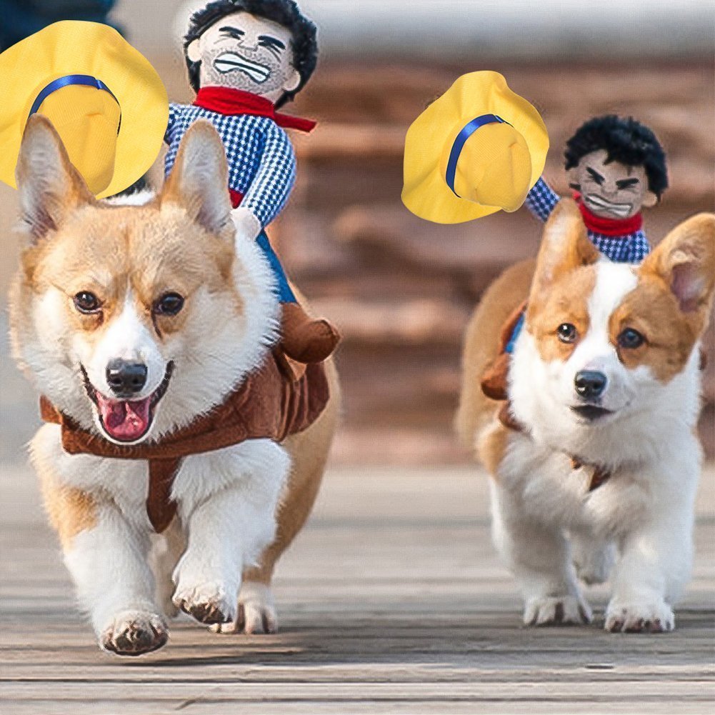 Pet creative and funny horse-riding costume