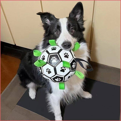 Interactive Pet Chew Ball