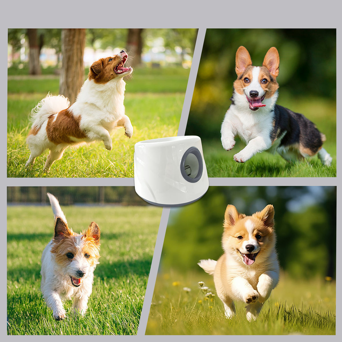 Rechargeable Automatic Dog Ball Launcher