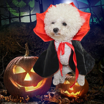 Pet cape is stylish.
