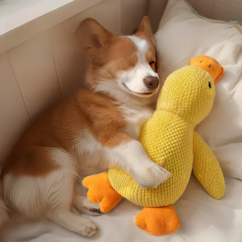 Pet Plush Sounding Toys