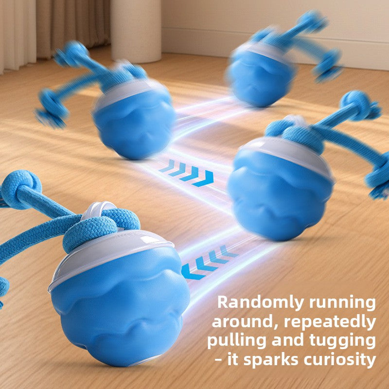 Interactive Electric Rolling Pet Ball
