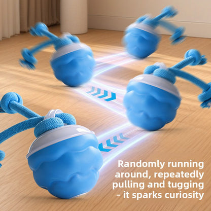 Interactive Electric Rolling Pet Ball