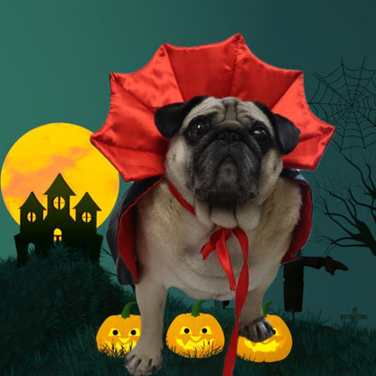 Pet cape is stylish.