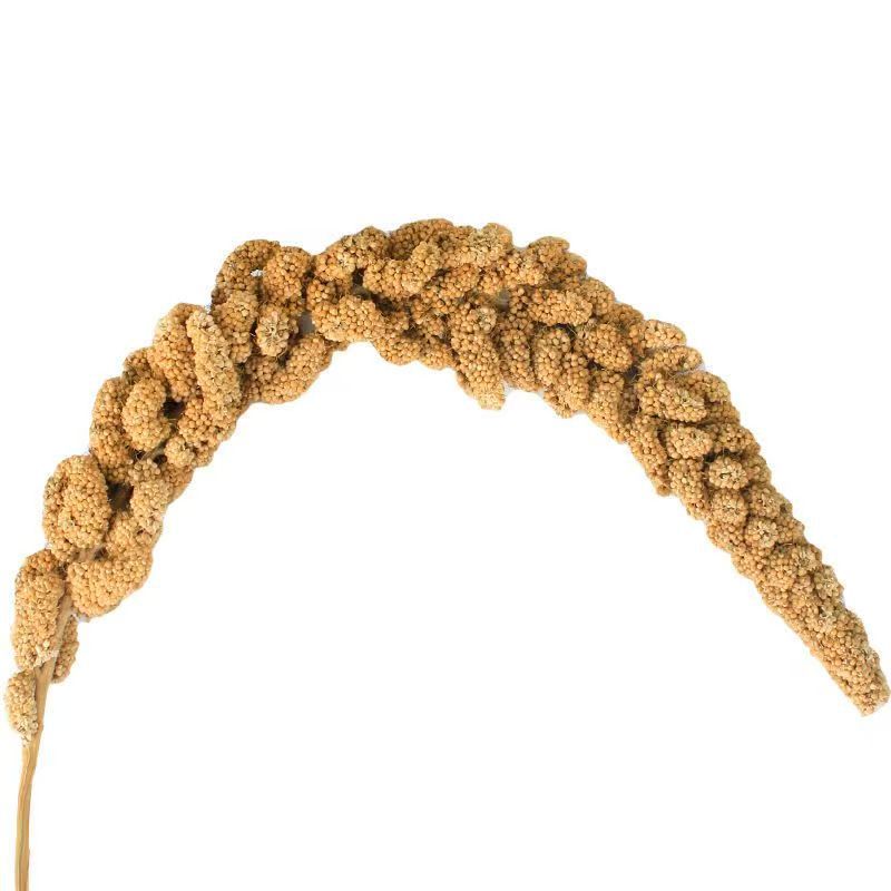 Natural Millet Bird Feed Stalks